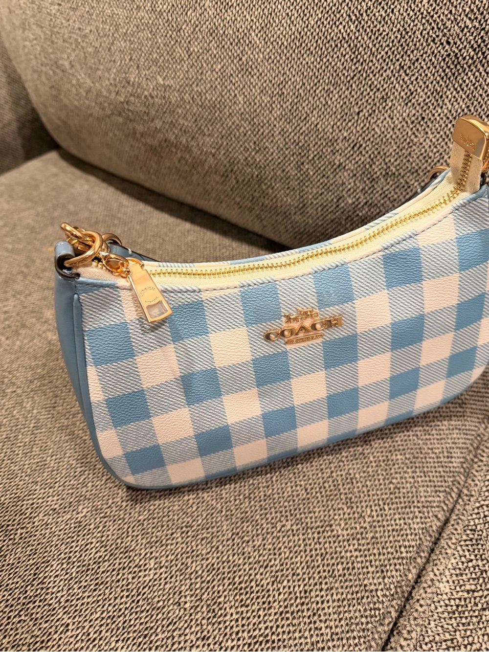 COACH Blue and White Gingham Mini Shoulder Bag with Gold Hardware